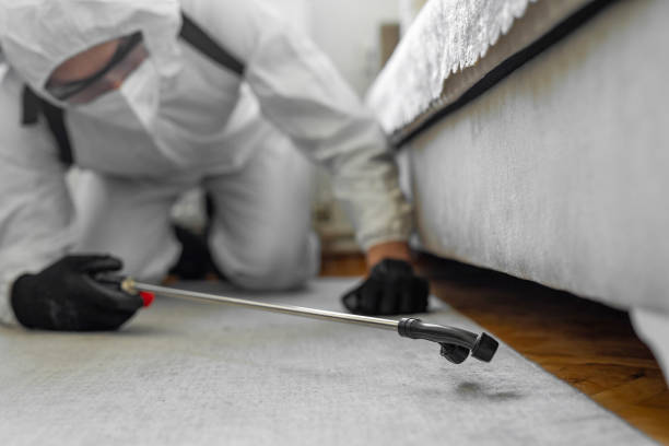 Professional Pest Control technician working in Wilkinson County County, GA